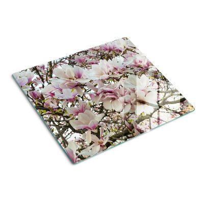 Glass kitchen board Magnolia flowers