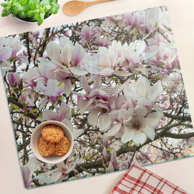Glass kitchen board Magnolia flowers