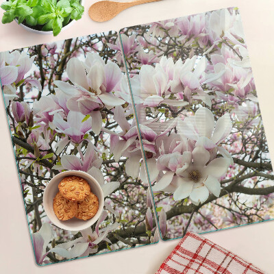Glass kitchen board Magnolia flowers