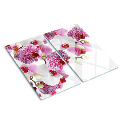 Glass chopping board Orchids in front of the window