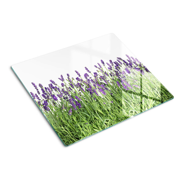 Glass kitchen board Lavender field in the sun