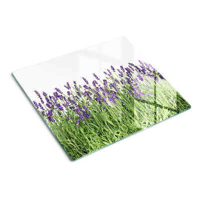 Glass kitchen board Lavender field in the sun