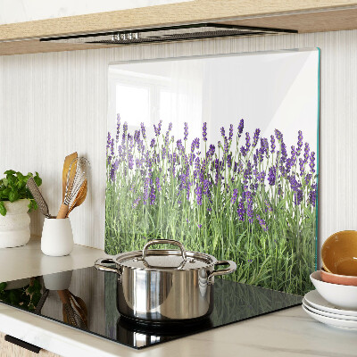 Glass kitchen board Lavender field in the sun