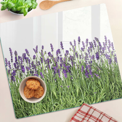 Glass kitchen board Lavender field in the sun