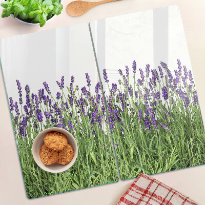 Glass kitchen board Lavender field in the sun