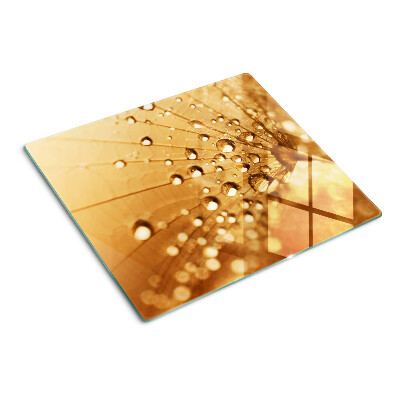 Glass kitchen board Water drops on a dandelion