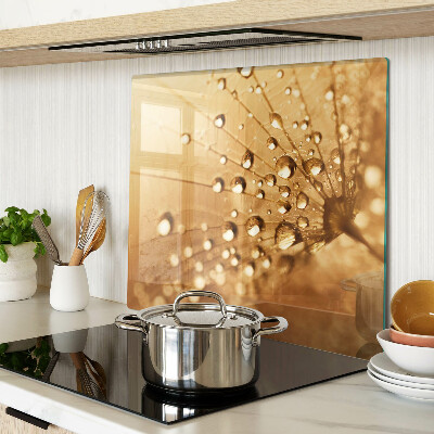 Glass kitchen board Water drops on a dandelion