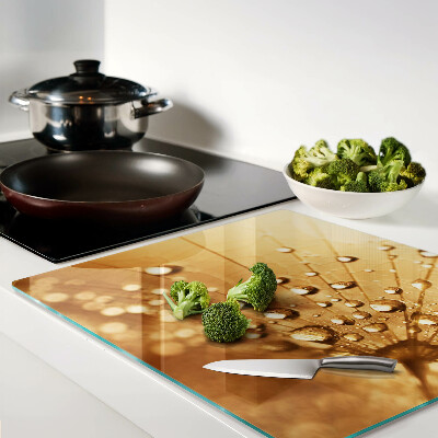 Glass kitchen board Water drops on a dandelion