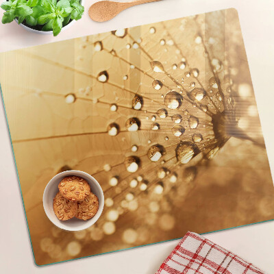 Glass kitchen board Water drops on a dandelion