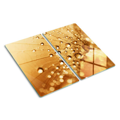 Glass kitchen board Water drops on a dandelion
