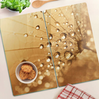 Glass kitchen board Water drops on a dandelion