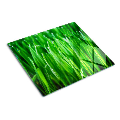 Glass kitchen board Grass with water drops