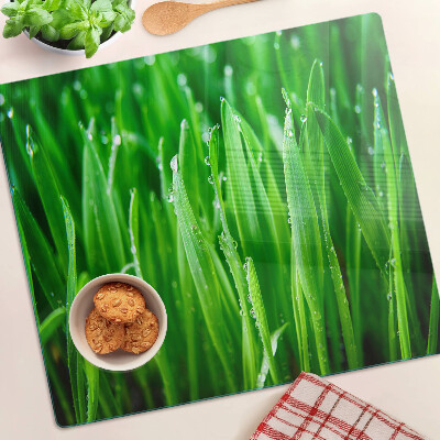 Glass kitchen board Grass with water drops
