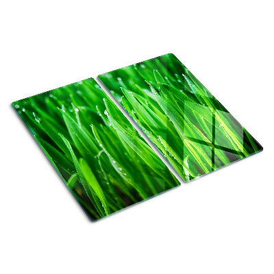 Glass kitchen board Grass with water drops