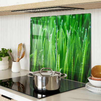 Glass kitchen board Grass with water drops