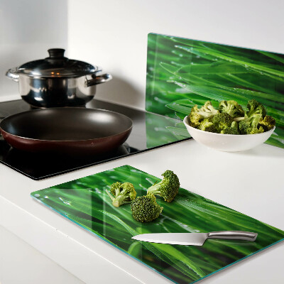 Glass kitchen board Grass with water drops