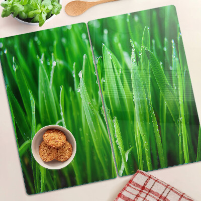 Glass kitchen board Grass with water drops
