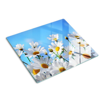 Glass kitchen board Daisy flowers on a blue background