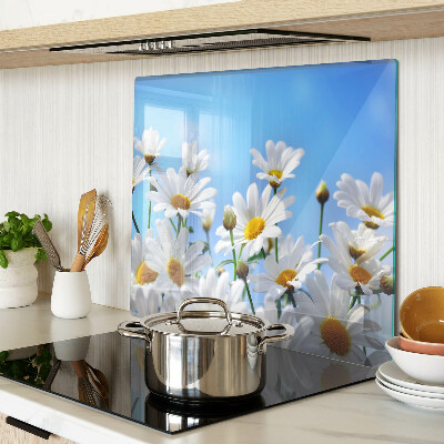 Glass kitchen board Daisy flowers on a blue background
