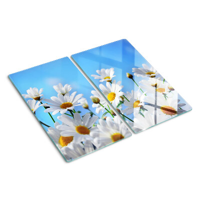 Glass kitchen board Daisy flowers on a blue background