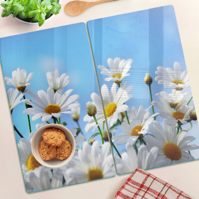 Glass kitchen board Daisy flowers on a blue background