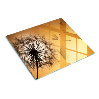 Glass kitchen board Dandelions against the sunset