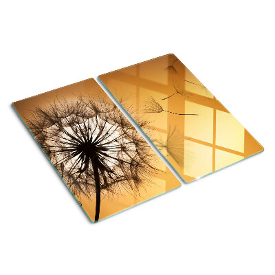 Glass kitchen board Dandelions against the sunset