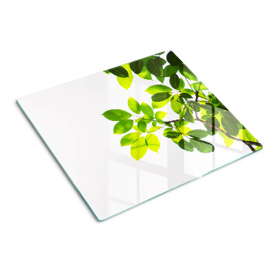 Glass chopping board Leaves against a bright sky
