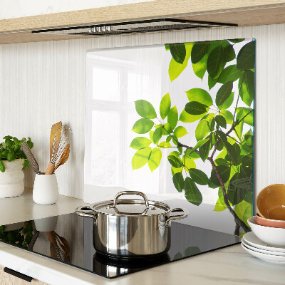 Glass chopping board Leaves against a bright sky