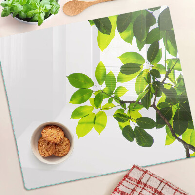 Glass chopping board Leaves against a bright sky