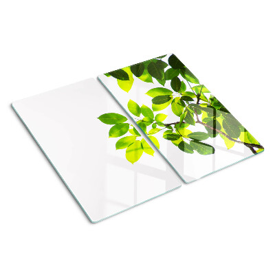 Glass chopping board Leaves against a bright sky