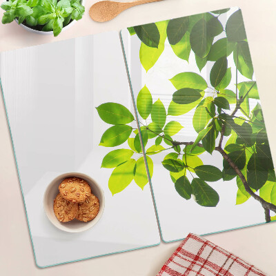 Glass chopping board Leaves against a bright sky