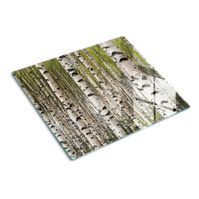 Glass kitchen board White birches in the forest
