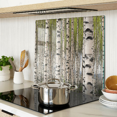 Glass kitchen board White birches in the forest