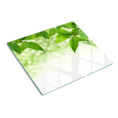 Glass chopping board Leaves against a background of blurred green