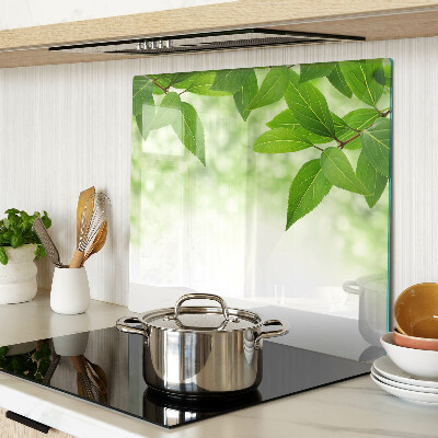 Glass chopping board Leaves against a background of blurred green