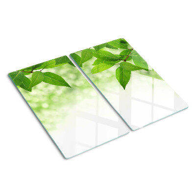 Glass chopping board Leaves against a background of blurred green