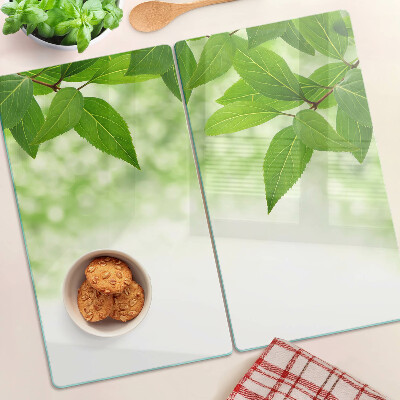 Glass chopping board Leaves against a background of blurred green