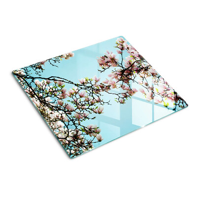 Glass kitchen board Magnolia flowers on a blue background