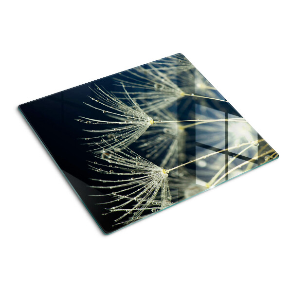 Glass kitchen board Dandelions with water drops