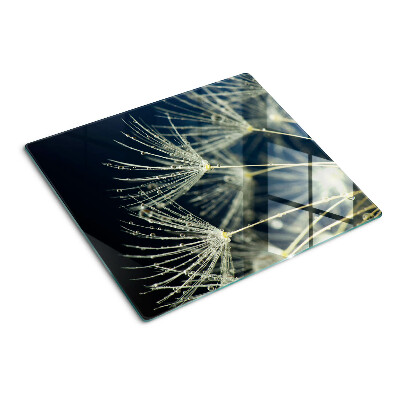 Glass kitchen board Dandelions with water drops