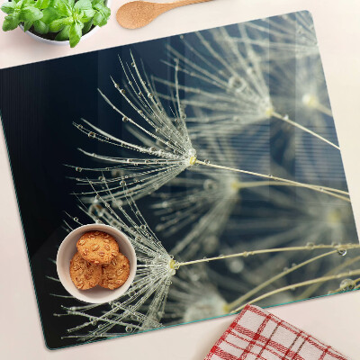 Glass kitchen board Dandelions with water drops