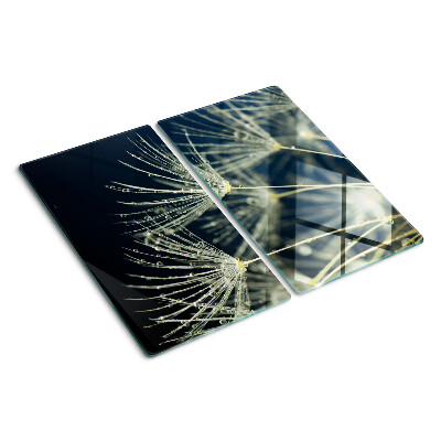 Glass kitchen board Dandelions with water drops