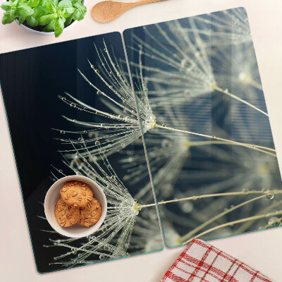 Glass kitchen board Dandelions with water drops