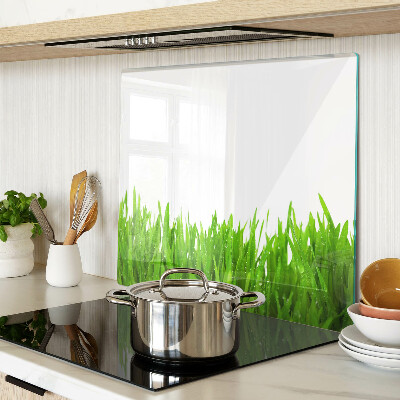 Glass chopping board Green grass with water drops