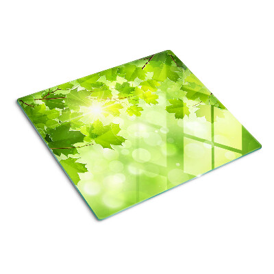 Glass kitchen board Leaves in the sun's rays