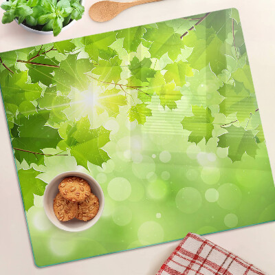 Glass kitchen board Leaves in the sun's rays