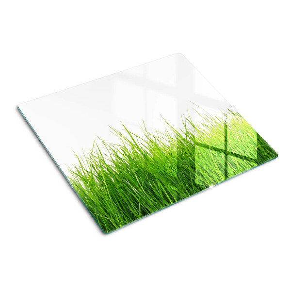 Glass kitchen board Grass in the sun