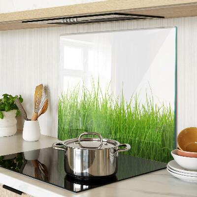 Glass kitchen board Grass in the sun