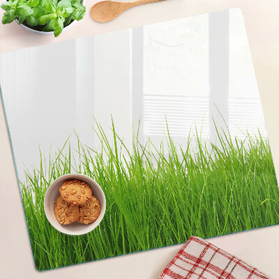 Glass kitchen board Grass in the sun